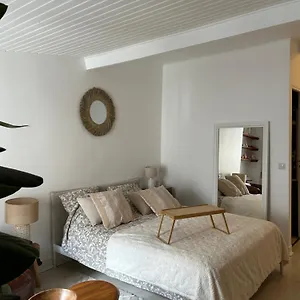 Grand Studio Entierement Renove Au Coeur De Apartment